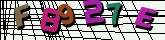 Chuck Norris has counted to infinity. Twice.