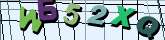 Chuck Norris has counted to infinity. Twice.